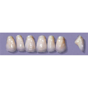 Myerson Anteriors #PM8/H (1 x 6 Card), Each