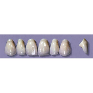 MYERSON ANTERIORS #PW4/C (1x6 CARD) Card