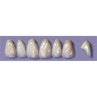 MYERSON ANTERIORS #PW6/60 (1x6CARD) Card