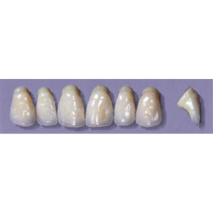 MYERSON ANTERIORS #PW6/C (1x6 CARD) Card