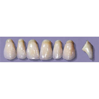 MYERSON ANTERIORS #PW8/C (1x6 CARD) Card