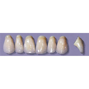 MYERSON ANTERIORS #PW8/H (1x6 CARD) Card