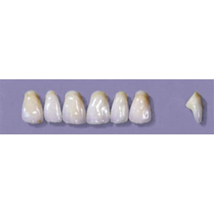 MYERSON ANTERIORS #YM3/C (1x6 CARD) Card