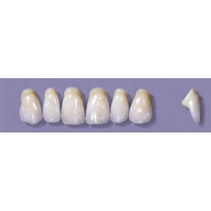 MYERSON ANTERIORS #YM5/62 (1x6CARD) Card