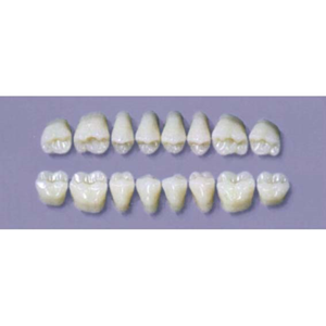 MYERSON DURA POST #28U/69 (1x8CARD) Card