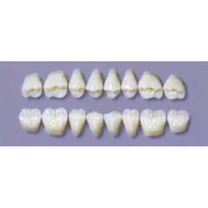Myerson Dura Post #30SLL/E (1X8 Card) Each Card
