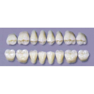 MYERSON DURA POST #32SLL/C (1x8 CARD) Card