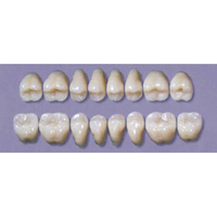 MYERSON DB SYN POST #30LL/65 (1x8 CARD) Card