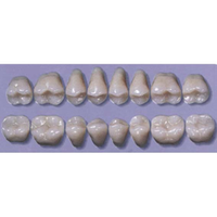 MYERSON DB SYN POST #34ML/65 (1x8 CARD) Card