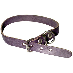 Pet Collar, Puppy, Assorted Colours, 30 cm, Each Each