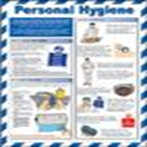 PERSONAL HYGIENE, LAMIN. POSTER, 590X420MM, EA Each