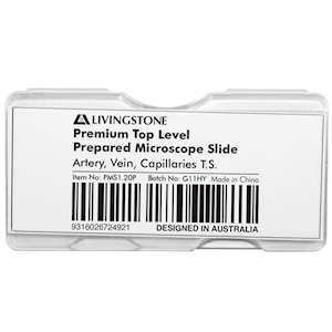 Livingstone Premium Top Level Prepared Slide, Artery, Vein, Capillaries Transverse Section, Each Each