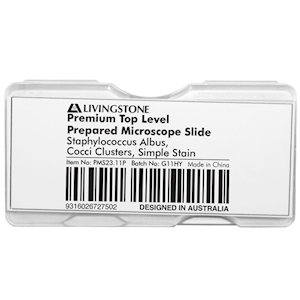 Livingstone Premium Top Level Prepared Slide, Staphylococcus Albus, Cocci Clusters, Simple Stain, Each Each
