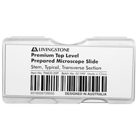 Livingstone Premium Top Level Prepared Slide, Stem, Typical, Transverse Section, Each Each