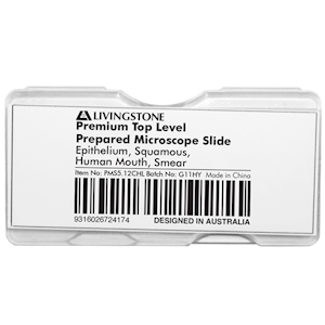 Livingstone Premium Top Level Prepared Slide, Epithelium, Squamous, Human Mouth, Smear, Each Each
