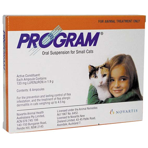 Program SML Cat Orange Each