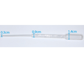 PTP03-01_20120222141515850