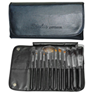12 PIECE NAT SABLE HAIR COSMETIC BRSHS IN SFT FOLD/ CASE ADV Each