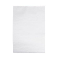 OFFICE PAD PLAIN A4 BANK G/REAGH 10/PK Pack