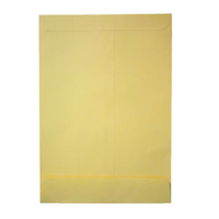 Gold Kraft Pocket Envelopes 229 x 162mm, C5, Peel & Seal, 500/Box Box