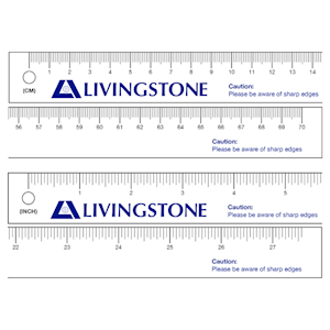 Livingstone Paper Tape Measure, 70cm x 2.5cm, 128 GSM Art Paper, Disposable, 100/Bag Carton