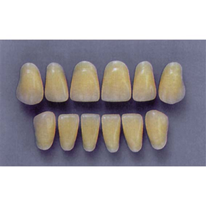 ULTRADENT ANT. A24/67 LOWER (1x6 CARD) Card