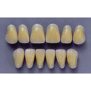 Ultradent Upper Anterior, A26/62, (1X6 Card), Each Card