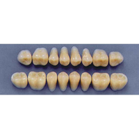 ULTRADENT POST. 29L/A3 UPPER (1x8 CARD) Card