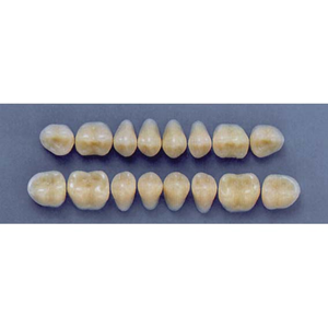 ULTRADENT POST. 29M/77 UPPER (1x8 CARD) Card