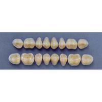 ULTRADENT POST. 29M/A2 UPPER (1x8 CARD) Card