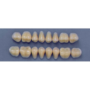 ULTRADENT POST. 29S/77 LOWER (1x8 CARD) Card