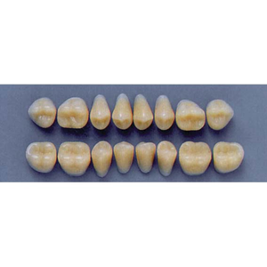 ULTRADENT POST 30L/A2 LOWER (1x8 CARD) Card