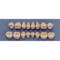 ULTRADENT POST 30M/81 LOWER (1x8 CARD) Card