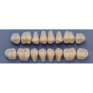 ULTRADENT POST. 31L/66 LOWER (1x8 CARD) Card