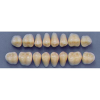 ULTRADENT POST. 31L/65 UPPER (1x8 CARD) Card
