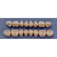 ULTRADENT POST. 31M/67 LOWER (1x8 CARD) Card