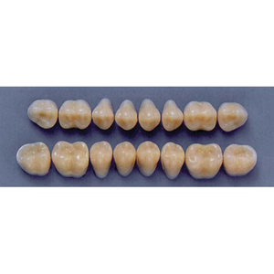 ULTRADENT POST. 31M/77 LOWER (1x8 CARD) Card