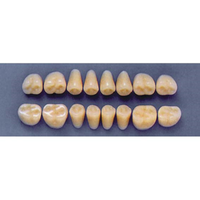 ULTRADENT POST. 31Z/67 UPPER (1x8 CARD) Card