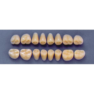 ULTRADENT POST. 31Z/77 UPPER (1x8 CARD) Card