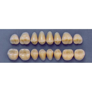 ULTRADENT POST. 32F/A2 LOWER (1x8 CARD) Card
