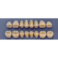 ULTRADENT POST. 32F/81 UPPER (1x8 CARD) Card