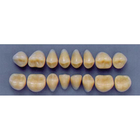ULTRADENT POST 32L/59 LOWER (1x8 CARD) Card