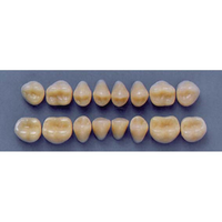 ULTRADENT POST 32M/A2 LOWER (1x8 CARD) Card