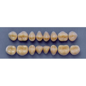 ULTRADENT POST 32M/67 UPPER (1x8 CARD) Card