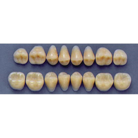 ULTRADENT POST. 33F/65 LOWER (1x8 CARD) Card