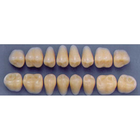ULTRADENT POST. 33L/62 UPPER (1x8 CARD) Card