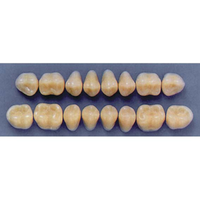 ULTRADENT POST. 33M/66 LOWER (1x8 CARD) Card