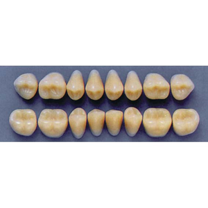 ULTRADENT POST 34L/A2 UPPER (1x8 CARD) Card