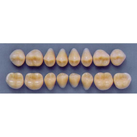 ULTRADENT POST 34M/59 LOWER (1x8 CARD) Card