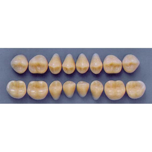 ULTRADENT POST 34M/67 LOWER (1x8 CARD) Card